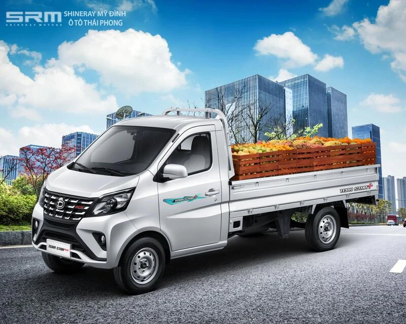 Xe Tải Tera Star Plus
